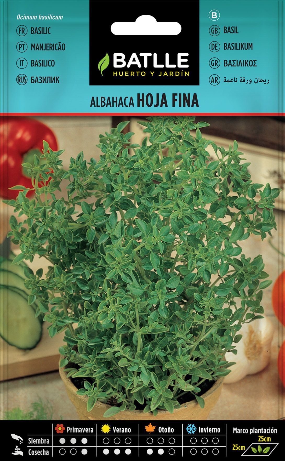 Semilla aromática de albahaca hoja fina