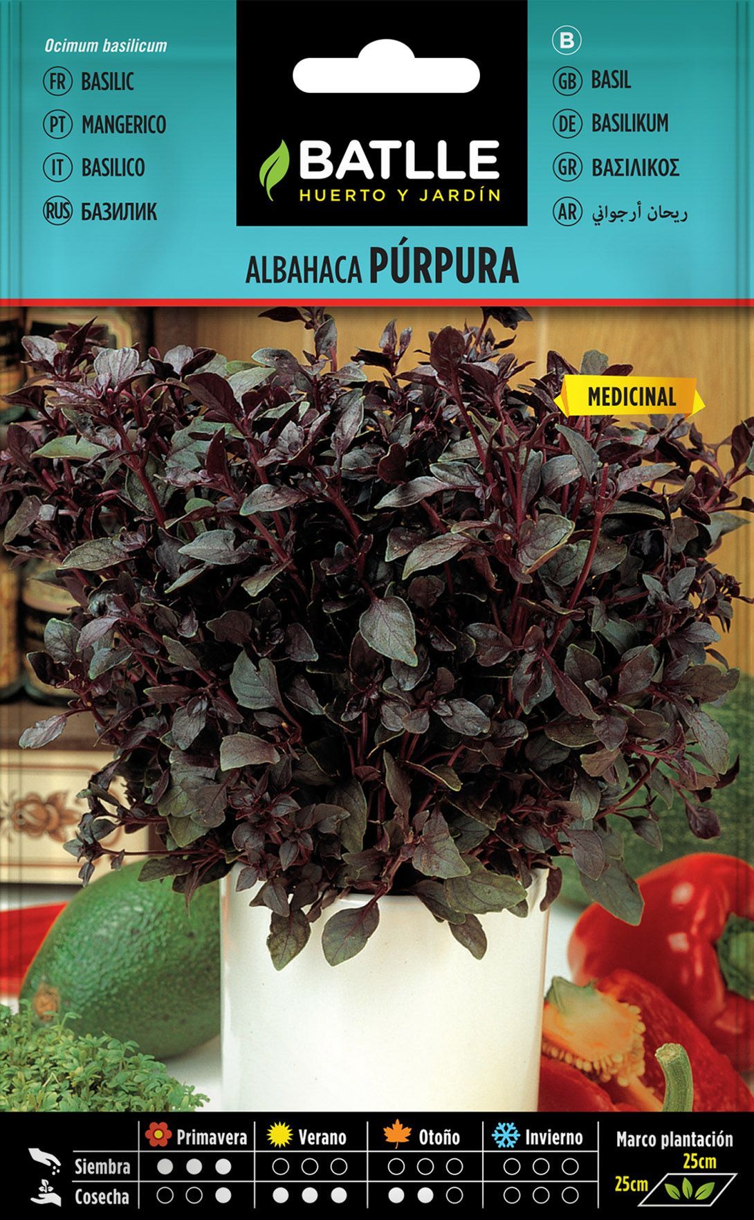 Semilla aromática de albahaca purpura