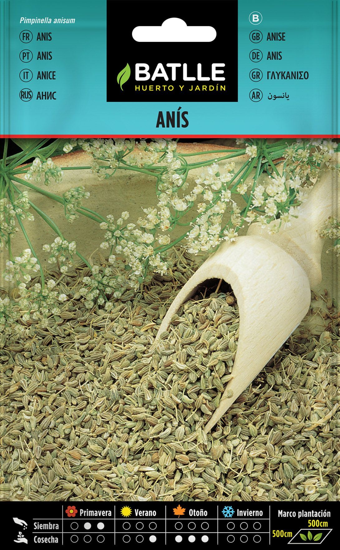 Semilla aromática de anís, anís verde, pimpinella anisum.