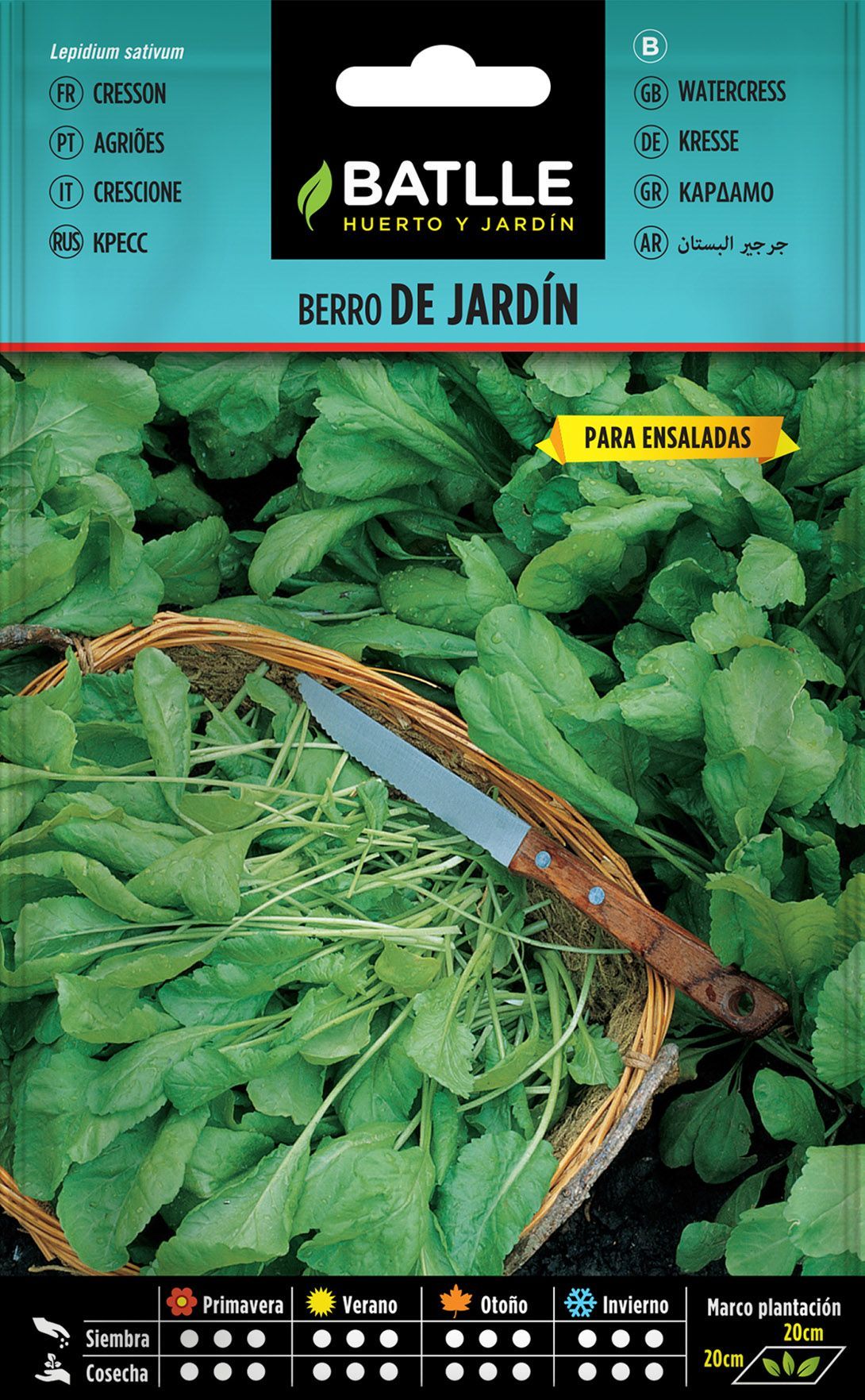 Semilla aromática de berro de jardín, alenois, agriao, lepidium sativum.