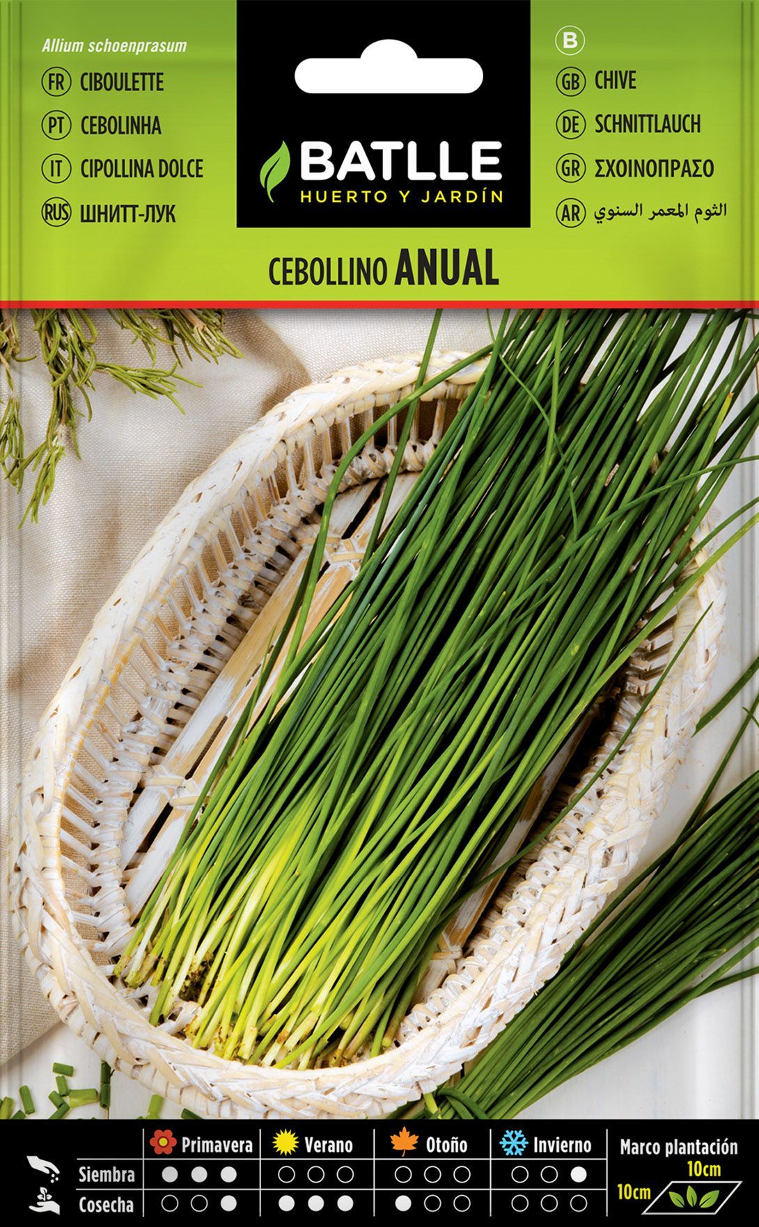 Semilla aromática de cebollino, cebolhino