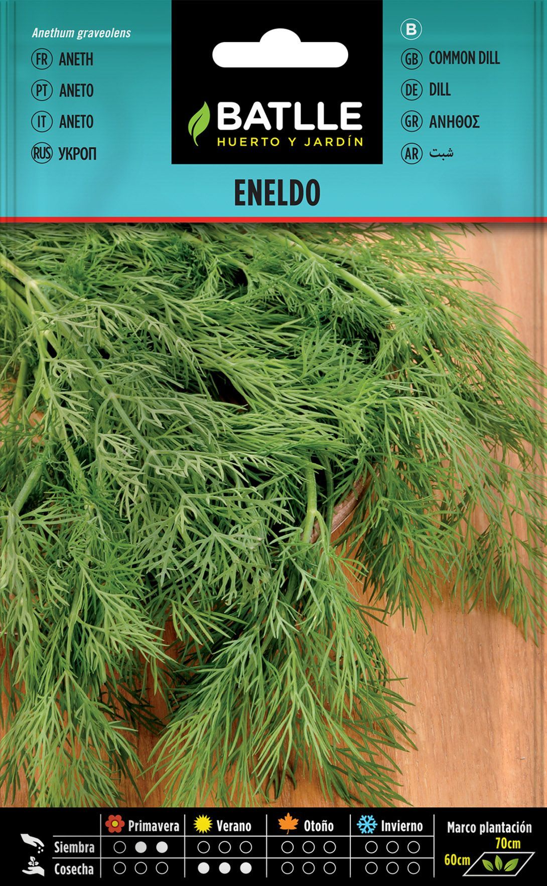 Semilla aromática de eneldo, aneth, anethum graveolens