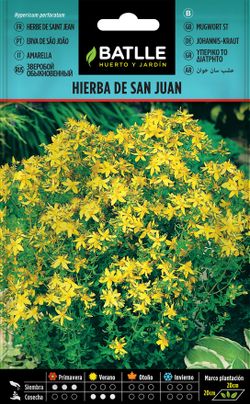 Semilla aromática de hierba de san juan