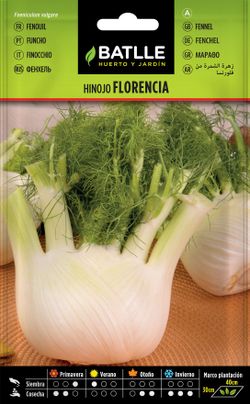 Semilla aromática de hinojo dulce de florencia