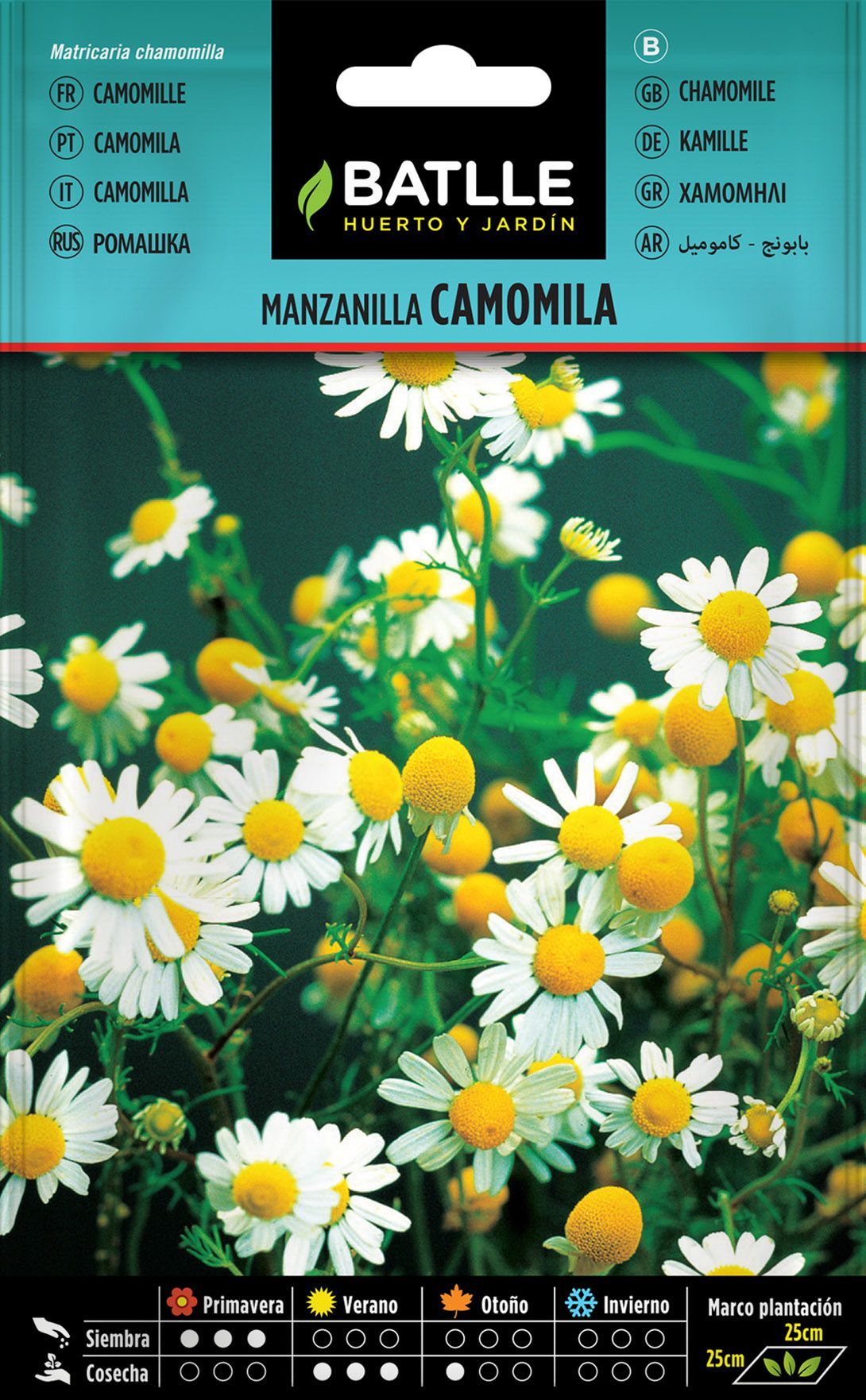 Semilla aromática de manzanilla, camomila