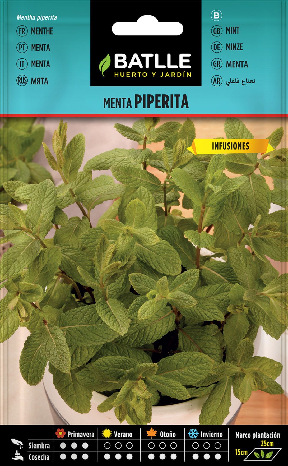 Semilla aromática de menta piperita, Mentha piperita