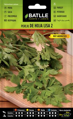 Semilla aromática de perejil de hoja lisa 2, petroselium sativum
