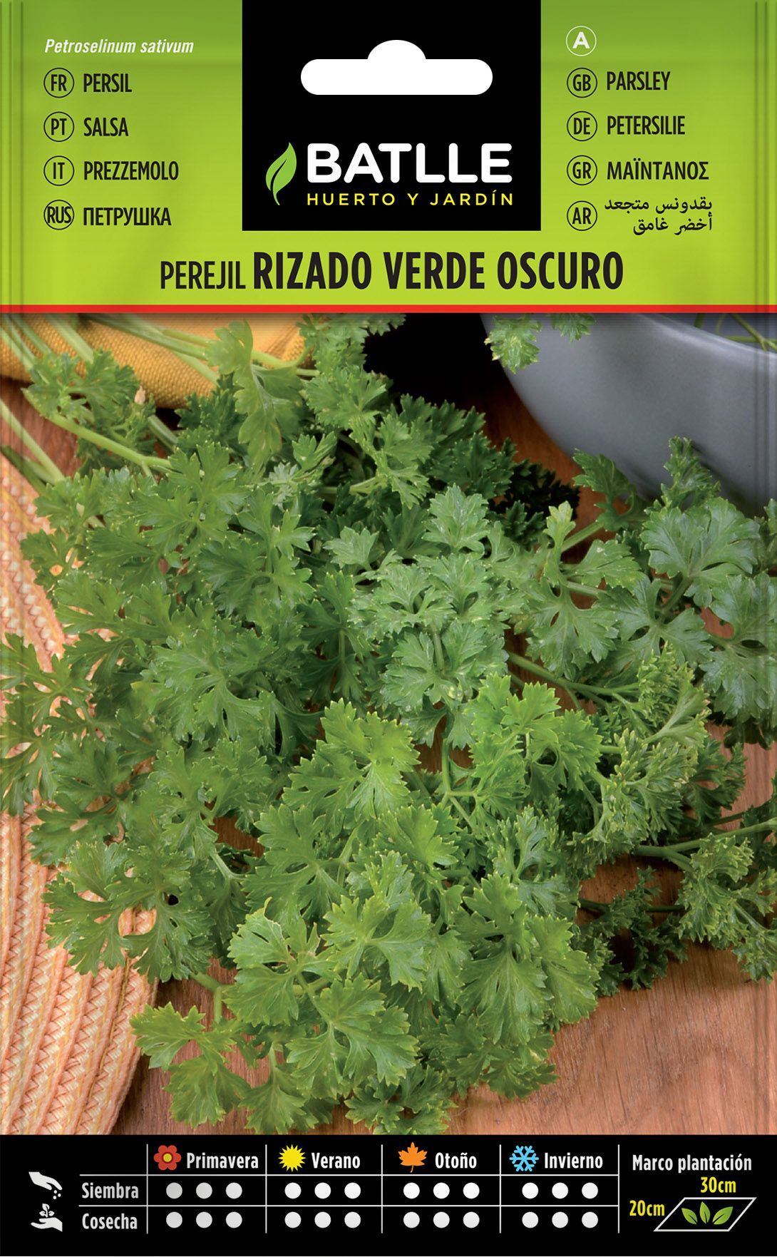 Semilla aromática de perejil rizado verde oscuro, salsa