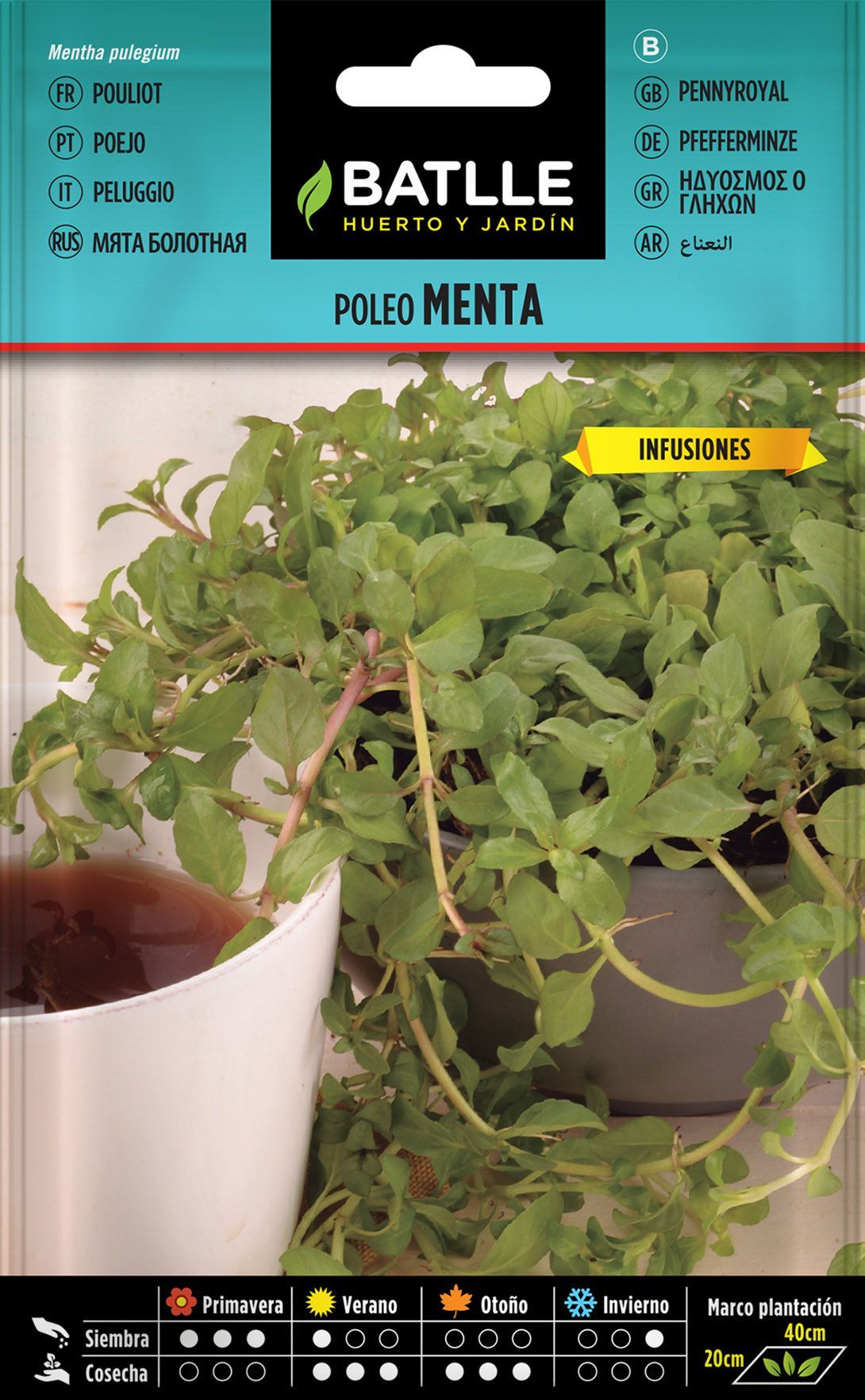 Semilla aromática de poleo menta