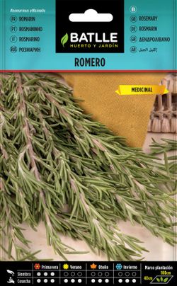 Semilla aromática de romero, alecrim, rosmarinus officinalis