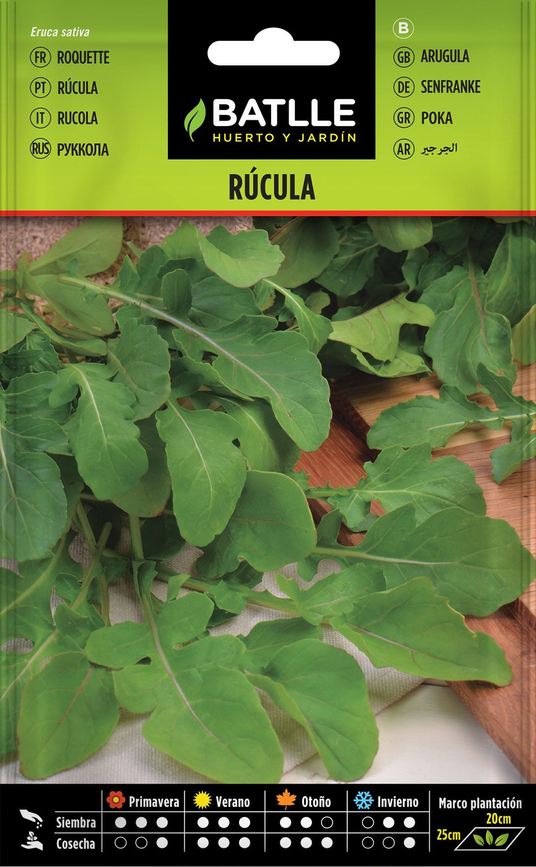 Semilla aromática de rucula