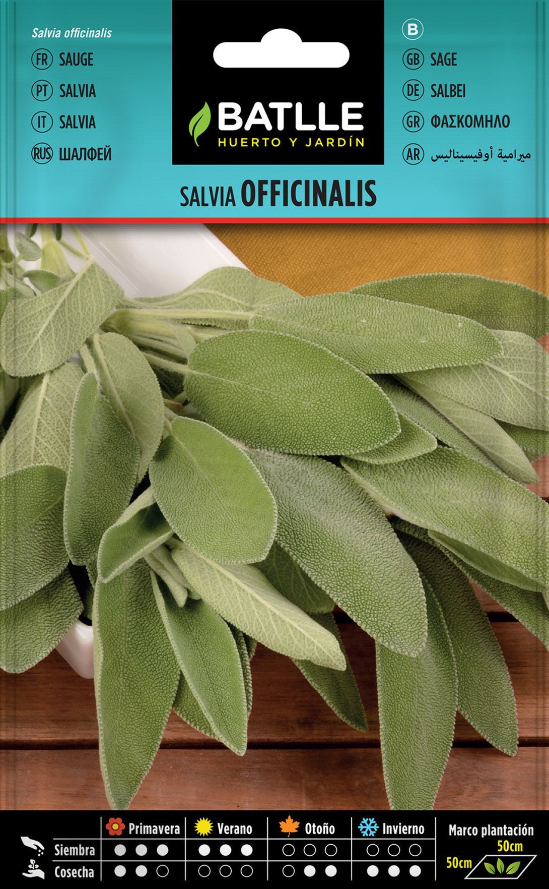 Semilla aromática de salvia, salvia officinalis.