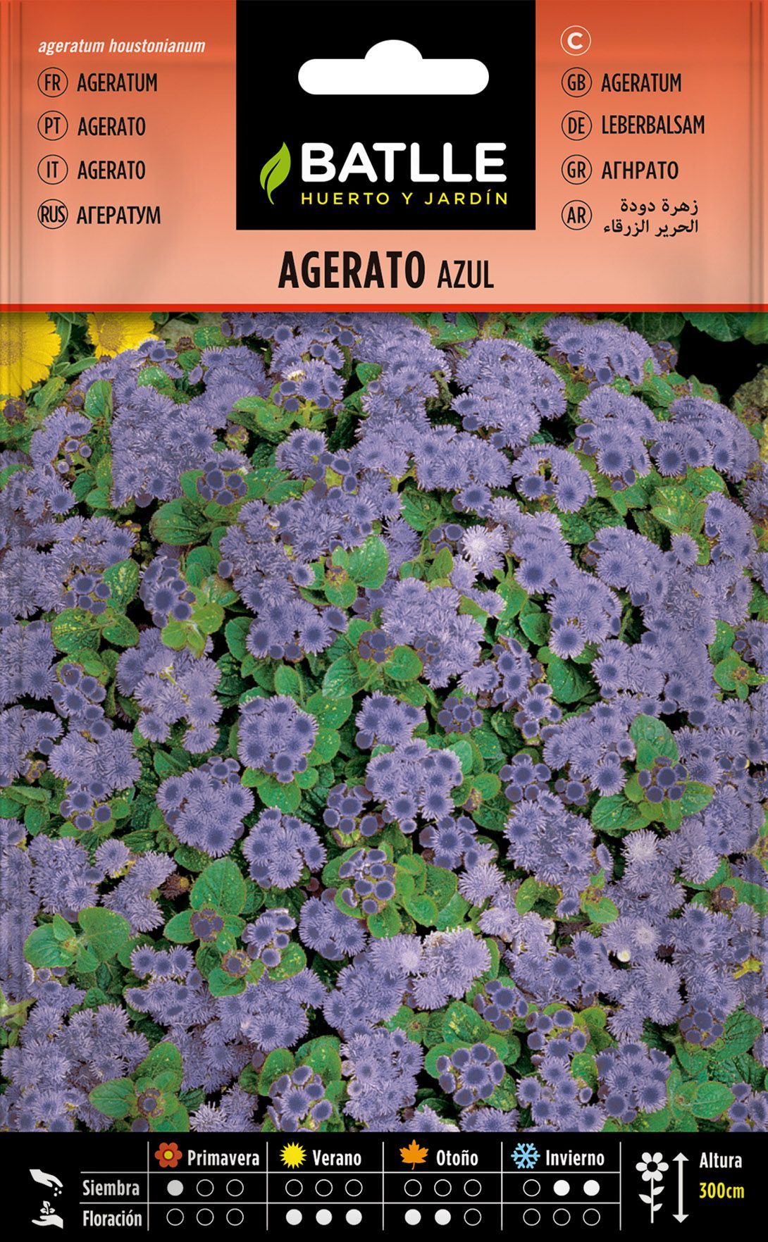 Semilla de agerato azul, ageratum houstonianum.