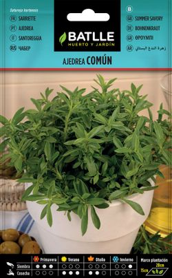 Semilla de ajedrea común