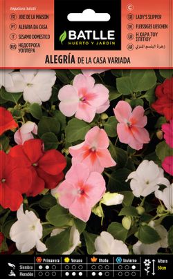 Semilla de alegría de la casa, melindres-impatiens mistura de cores