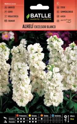 Semilla de alheli excelsior gigante blanco,matthiola incana.