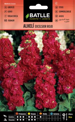 Semilla de alheli excelsior gigante rojo, goivo vernelho