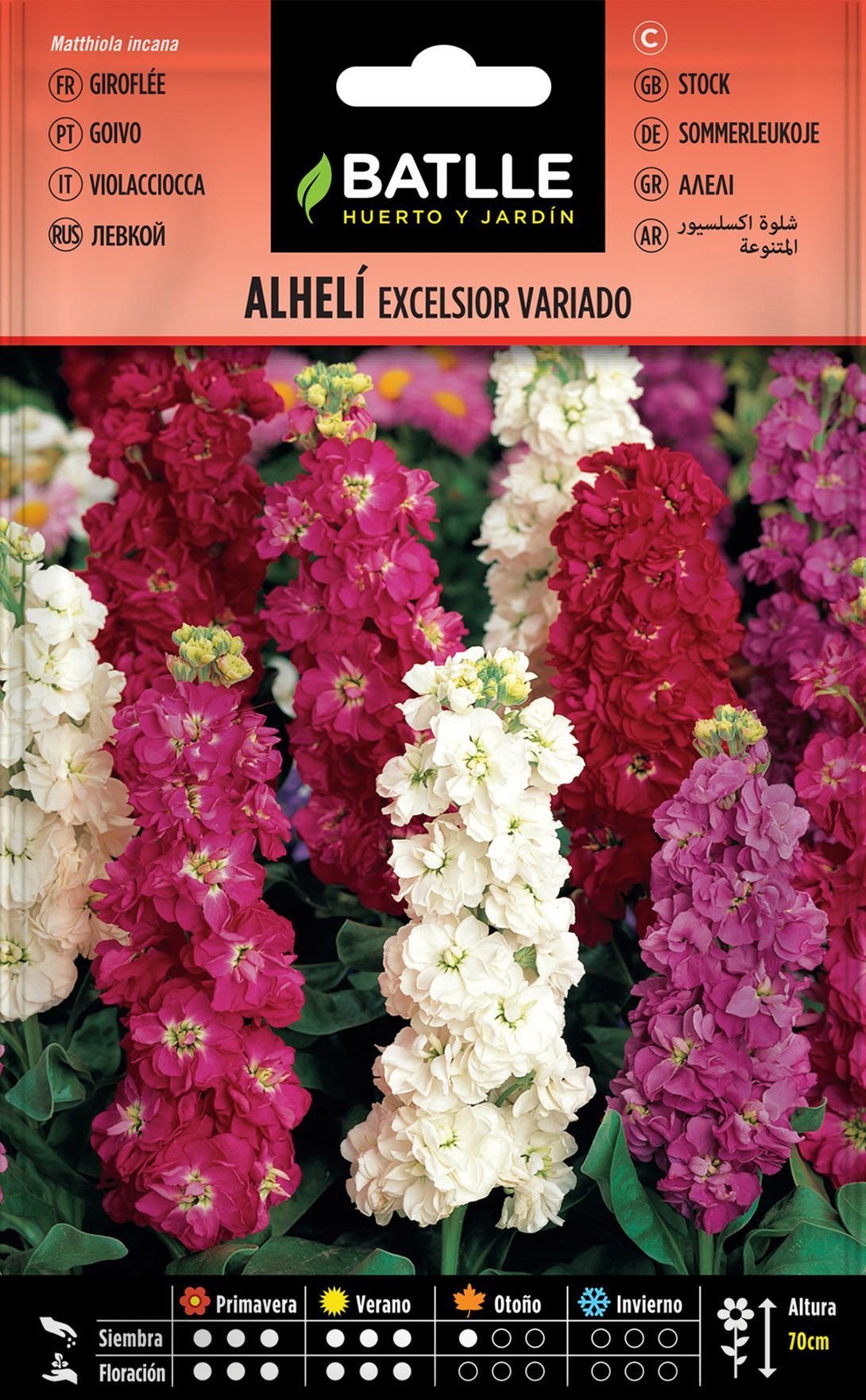 Semilla de alheli excelsior variado, matthiola incana