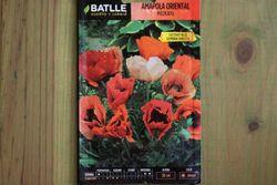 Semilla de amapola oriental pizzicato, papaver orientale