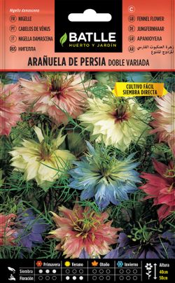 Semilla de arañuela de persia doble variada, nigell damascena
