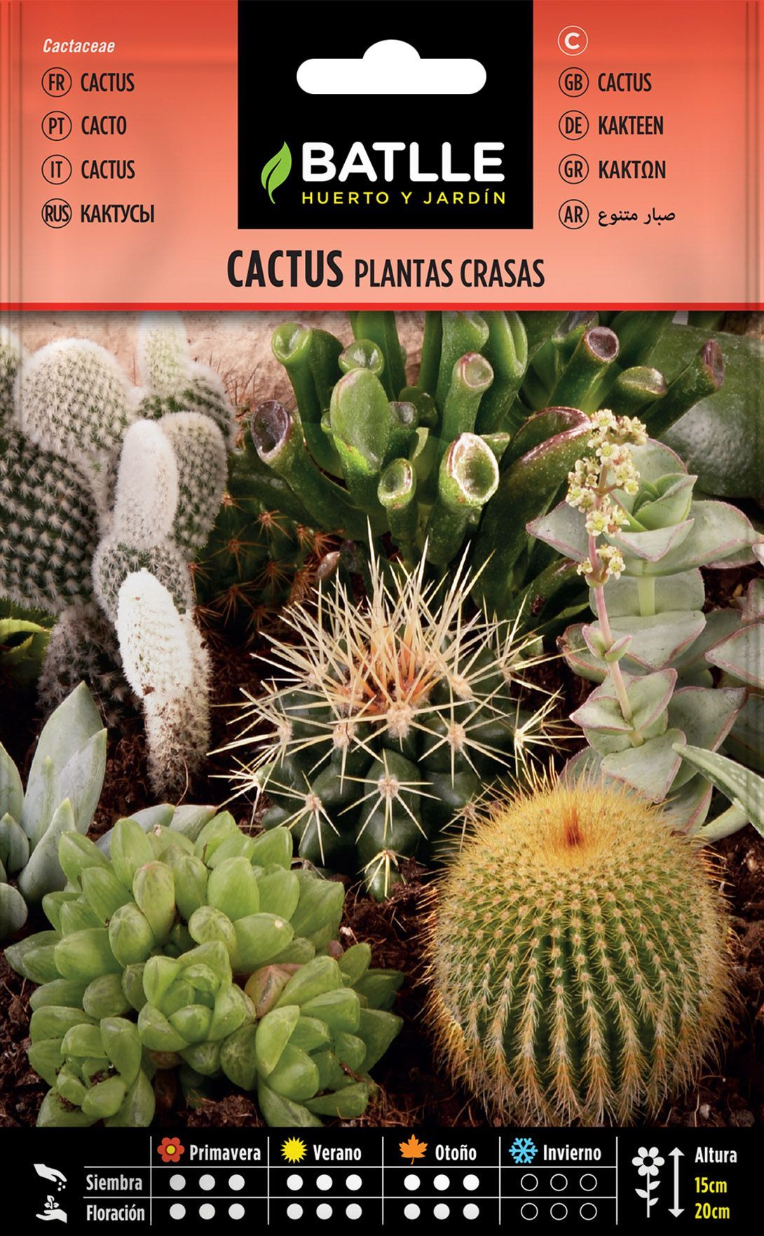 Semilla de cactus, plantas crasas variadas
