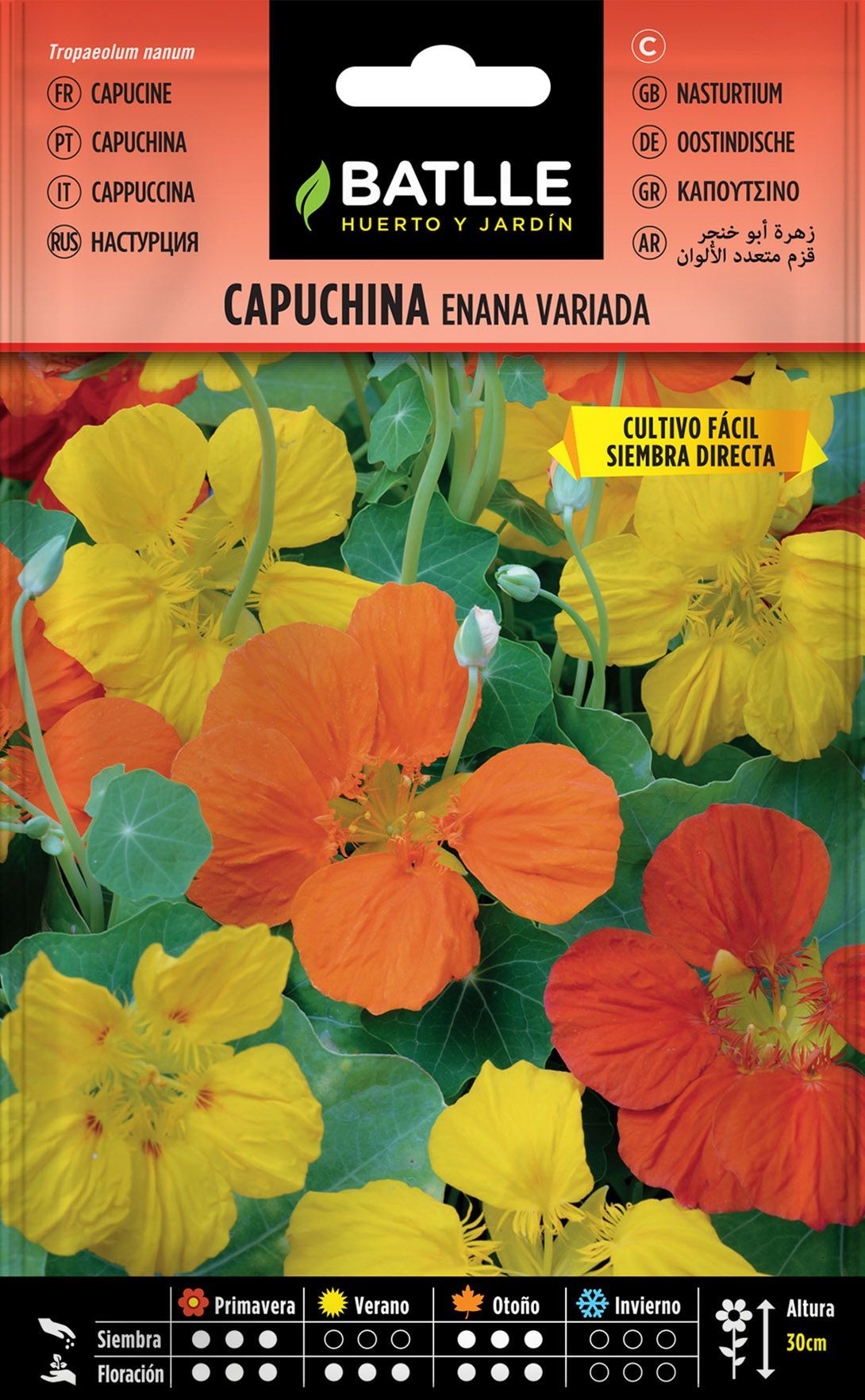 Semilla de capuchina enana variada,  tropaeolum majus