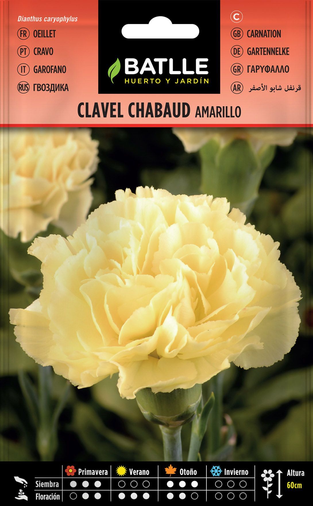 Semilla de clavel chabaud doble amarillo, dianthus caryophillus