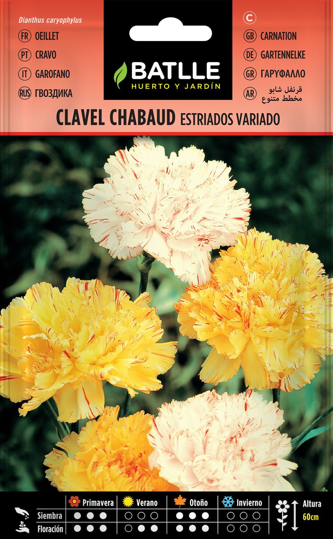 Semilla de clavel chabaud doble estriado, dianthus caryophyllus