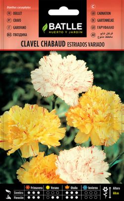 Semilla de clavel chabaud doble estriado, dianthus caryophyllus