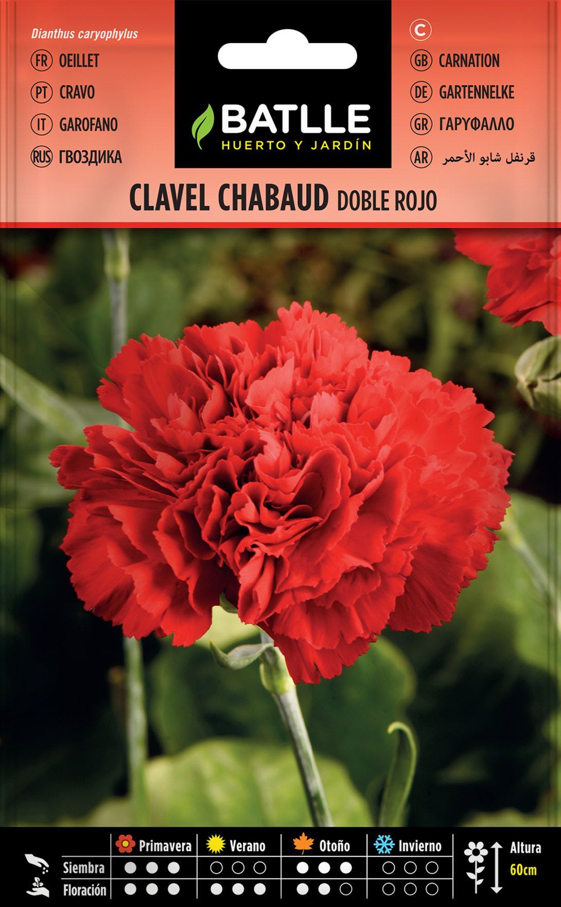 Semilla de clavel chabaud doble rojo, dianthus caryophillus
