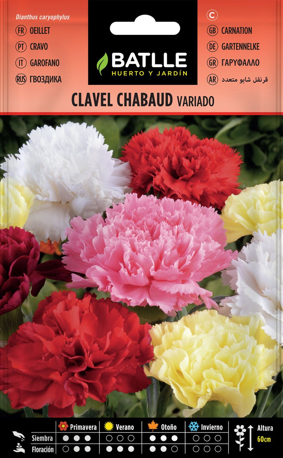 Semilla de clavel chabaud doble variado, dianthus caryophillus