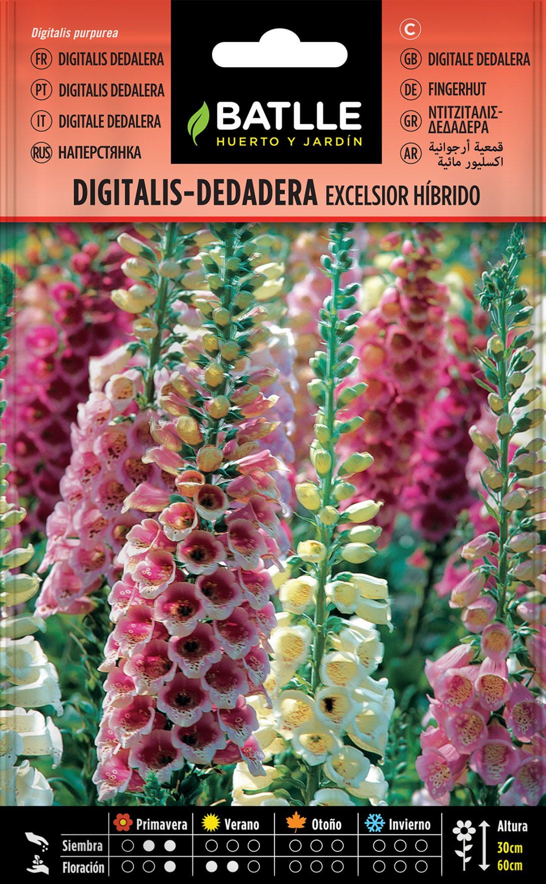 Semilla de digitalis, dedalera excelsiro hibrido, digitalis purpurea