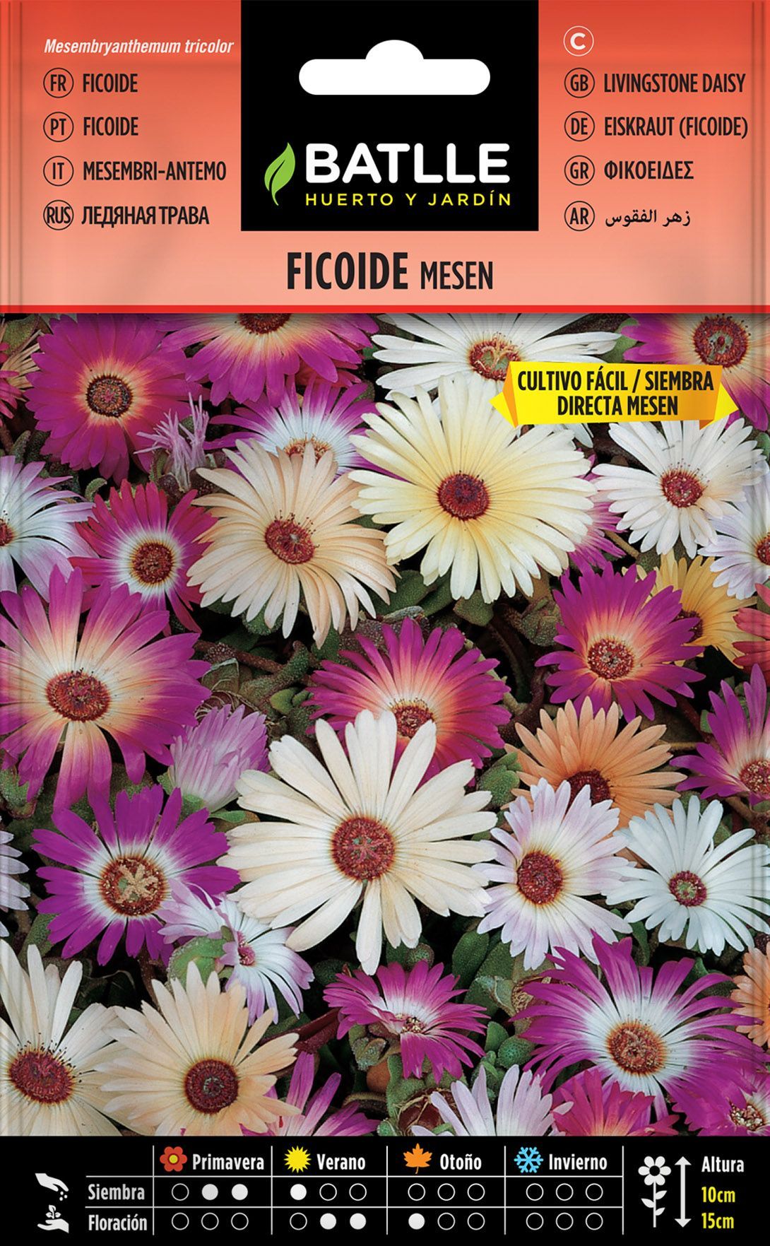 Semilla de ficoide tapiz magico, ficoide tapete magico, mesembryanthemum tricolor