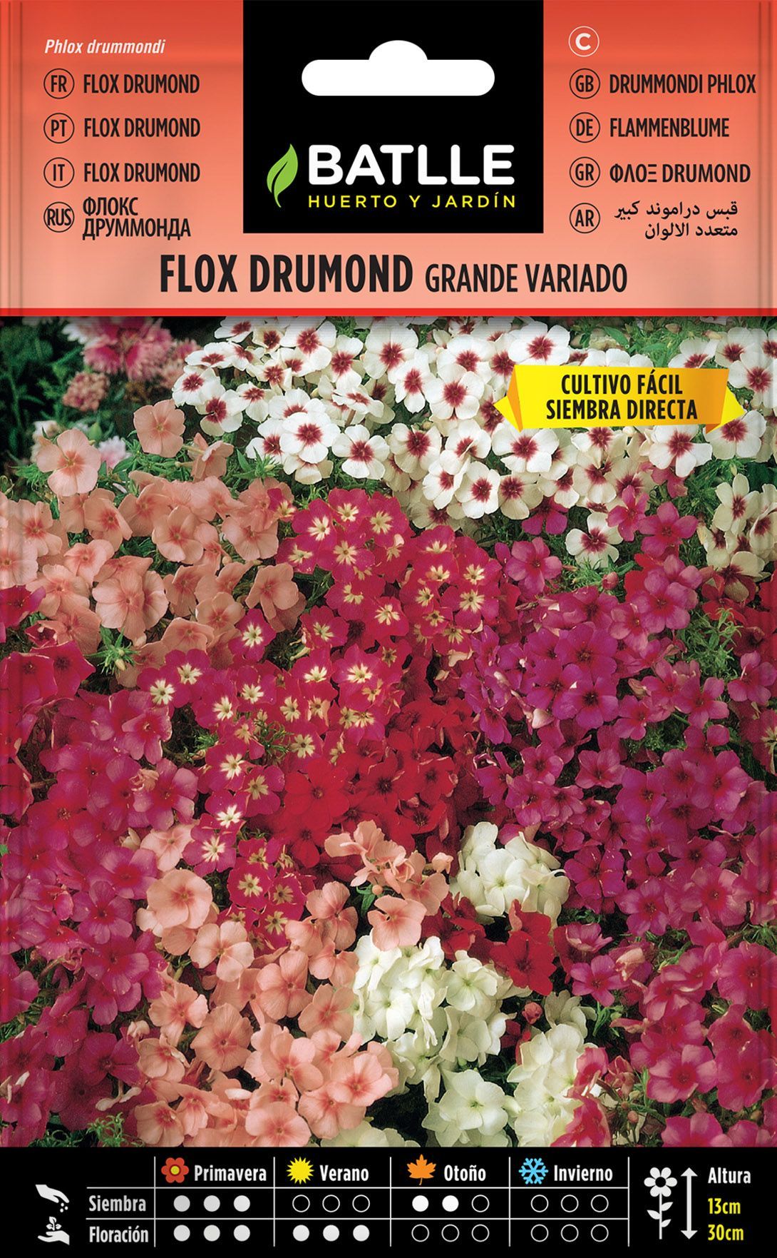 Semilla de flox drumond flor grande variada, phlox drummondii