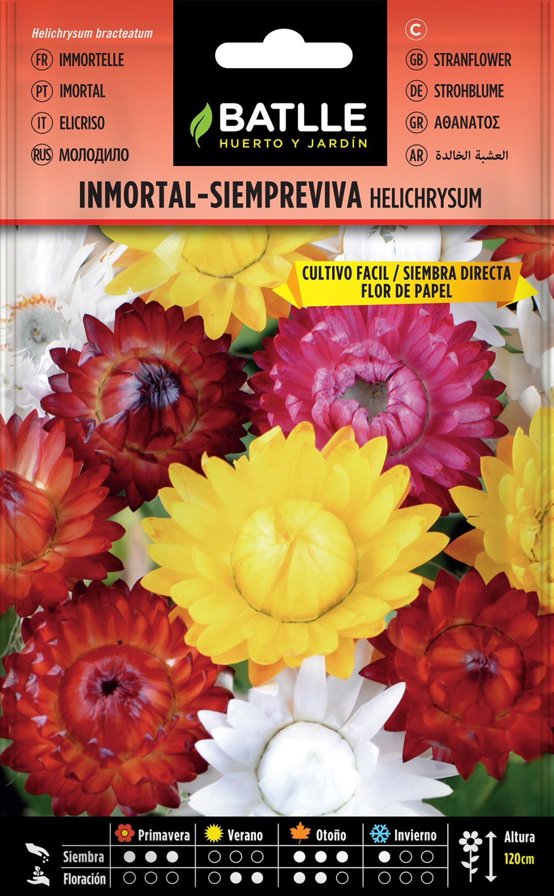 Semilla de inmortal - siempreviva flor de papel,  helichrysum bracteatum