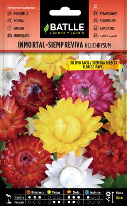 Semilla de inmortal - siempreviva flor de papel,  helichrysum bracteatum