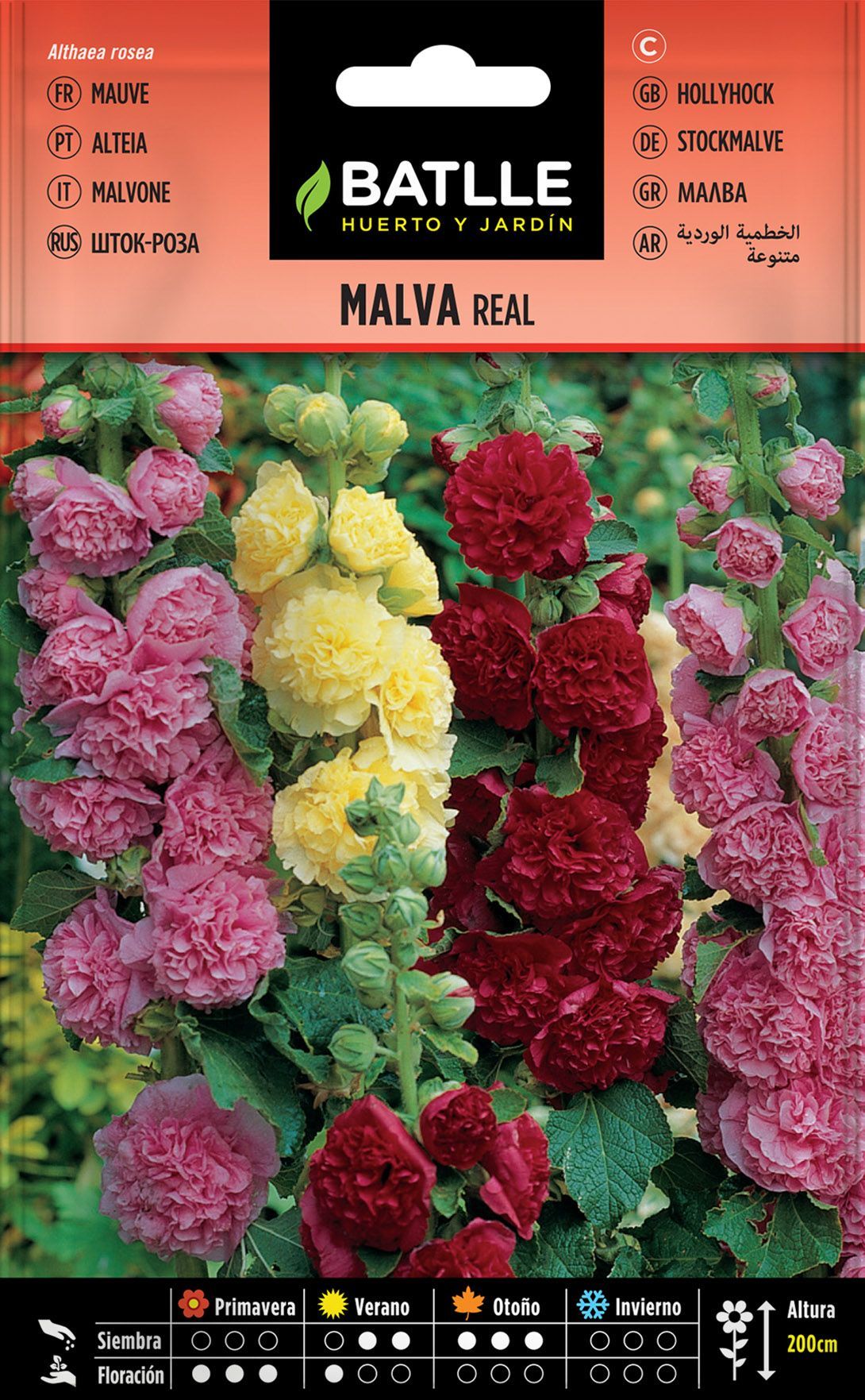 Semilla de malva real variada, alteia flor de pau, althaea rosea