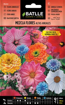 Semilla de mezcla de flores altas anuales, mistura, mesclum