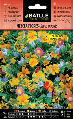 Semilla de mezcla de flores césped japonés, mesclum.