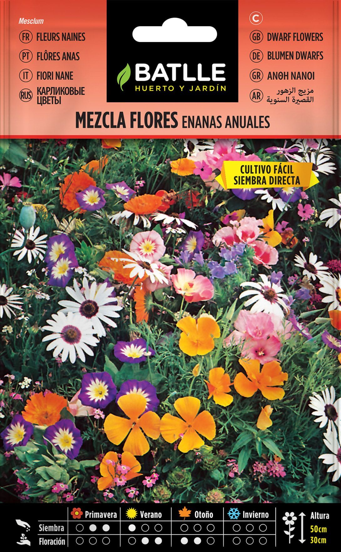 Semilla de mezcla de flores enanas anuales, mesclum.