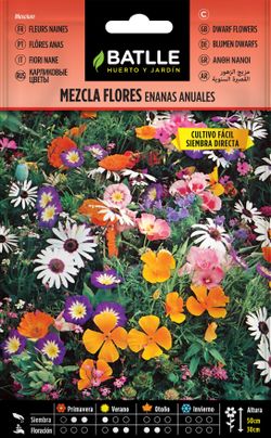 Semilla de mezcla de flores enanas anuales, mesclum.