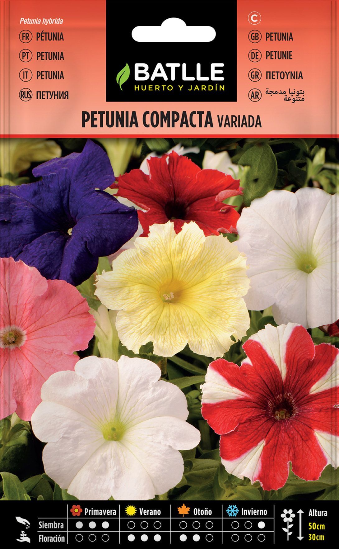 Semilla de petunia compacta variada, petunia hybrida