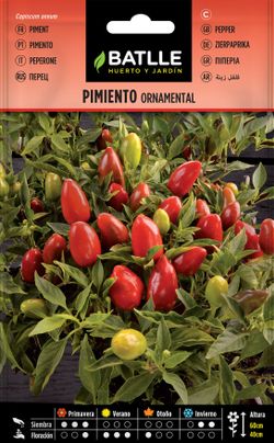 Semilla de pimiento ornamental, capiscum annum