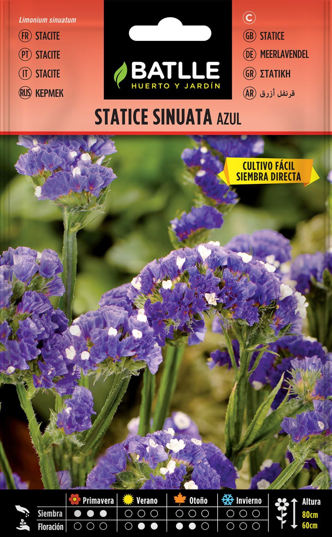 Semilla de statice sinuata azul, estatice azul, limonium sinuatum