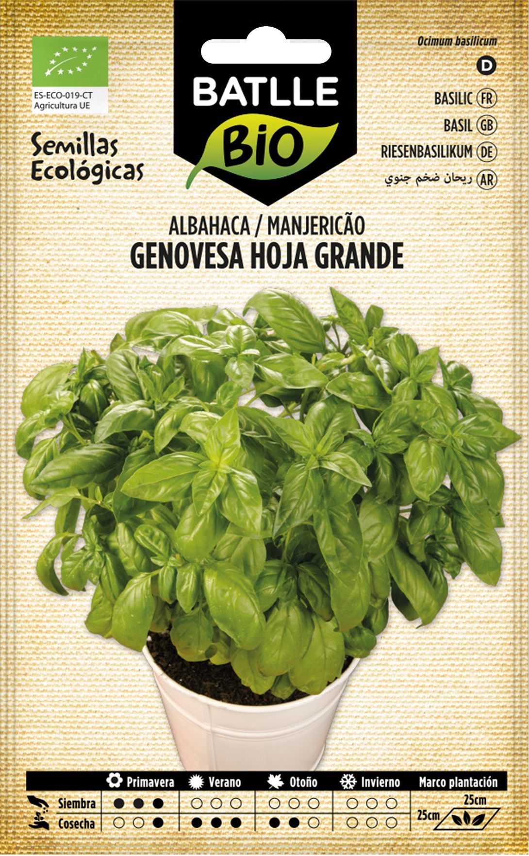 Semilla ecológica aromática de albahaca genovese hoja grande