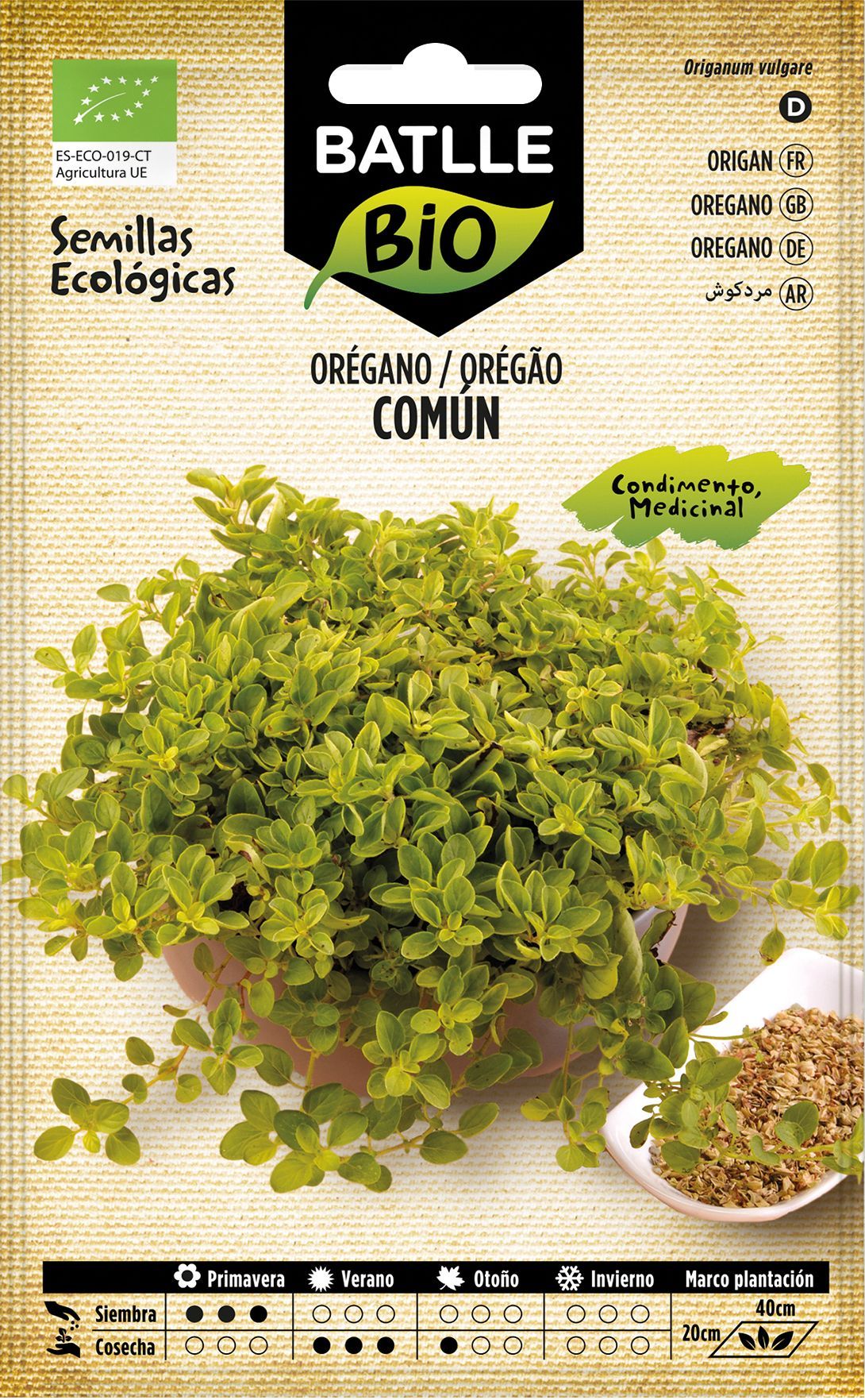 Semilla ecológica aromática de orégano, oregao, origanum vulgare