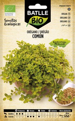 Semilla ecológica aromática de orégano, oregao, origanum vulgare