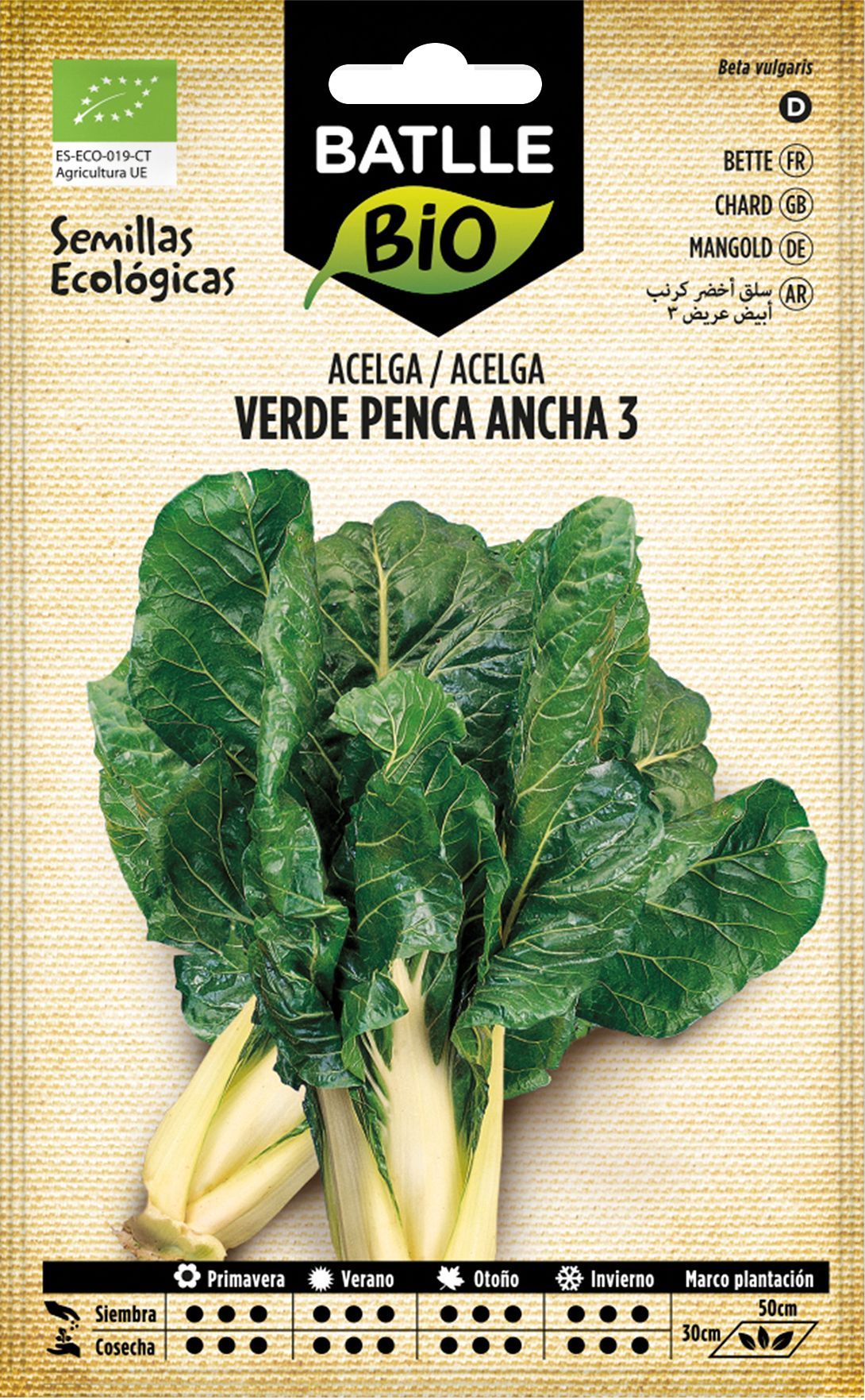 Semilla ecológica de acelga verde penca ancha 3