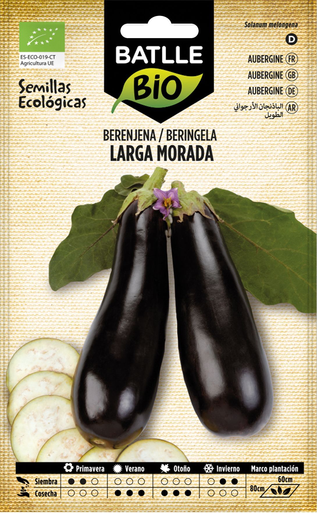 Semilla ecológica de berenjena larga morada, beringela