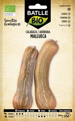 Semilla ecológica de calabaza Mallueca, vasca-mallorca sel. marina